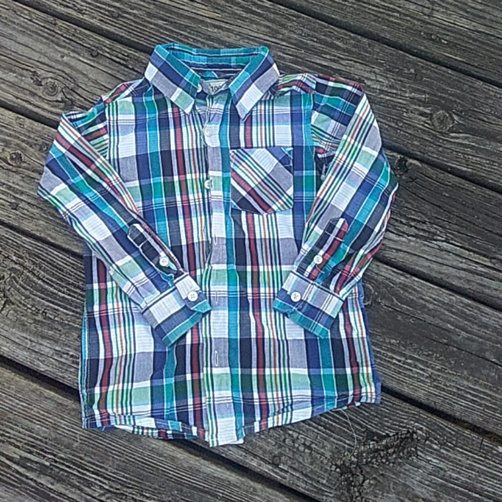 1989 Place Button Down